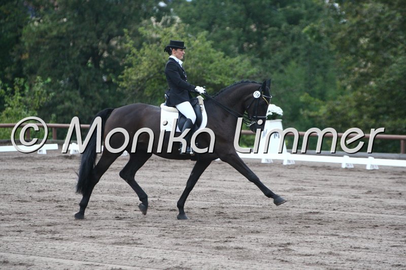 009M7277_Rubin_Dressur M.JPG